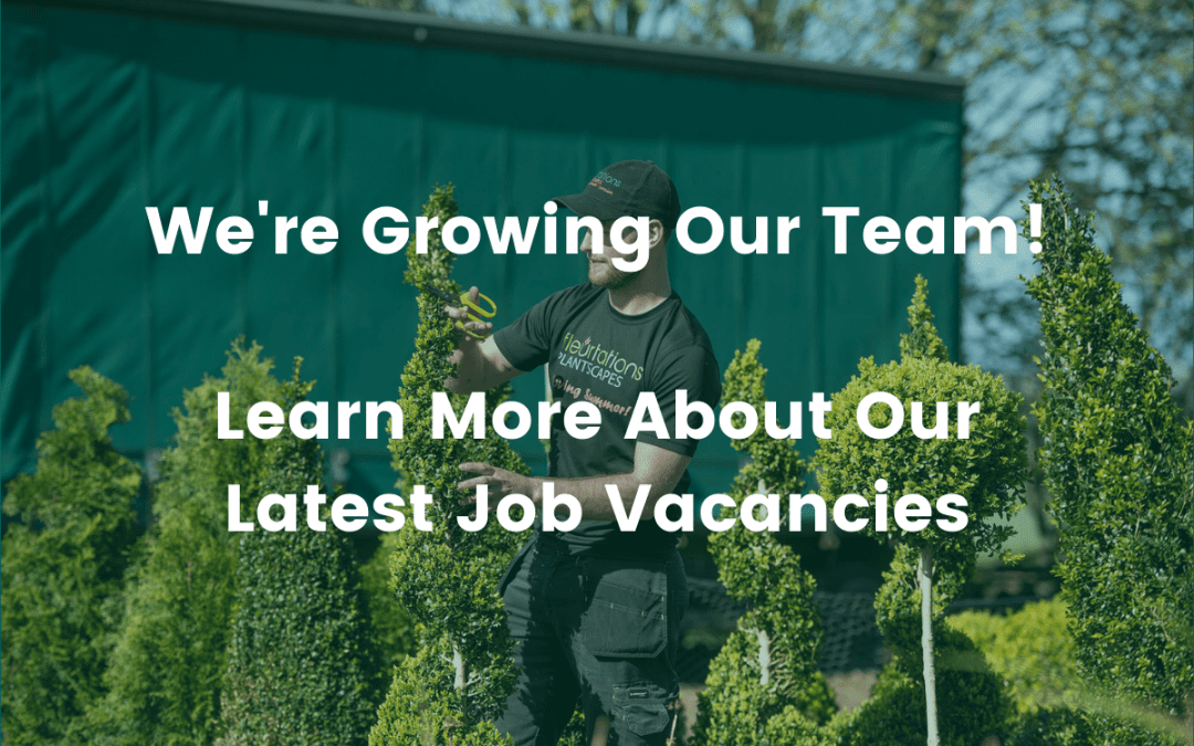 We’re Hiring! Learn More About Our Latest Vacancies | Fleurtations