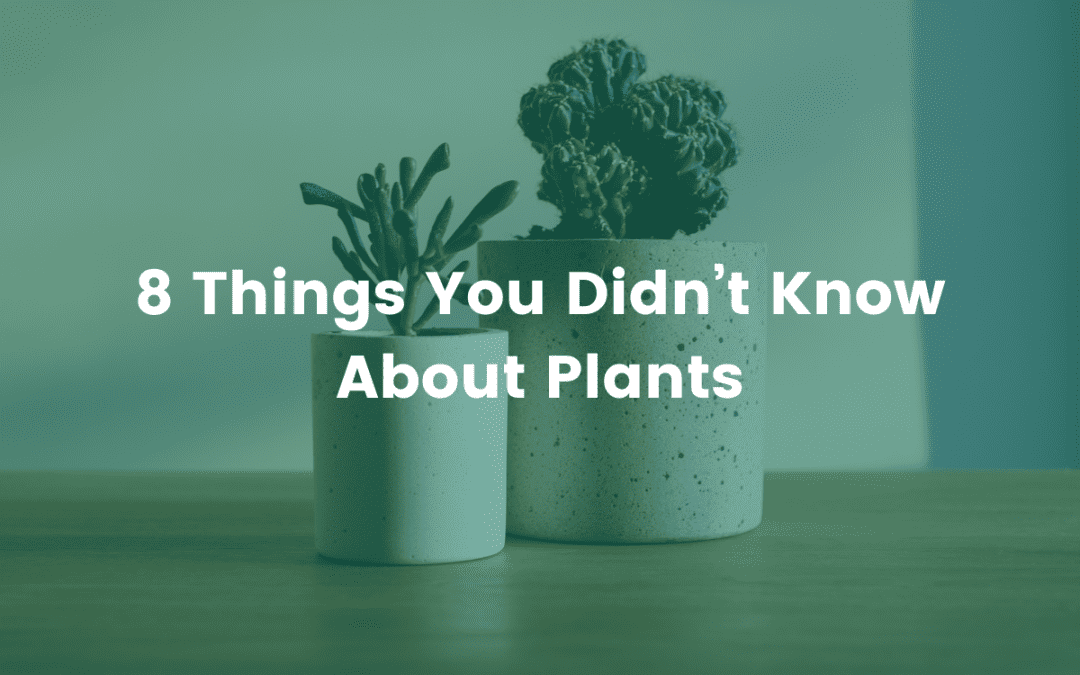 8 Things You Didn’t Know About Plants