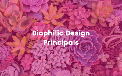 Biophilic Design Principles