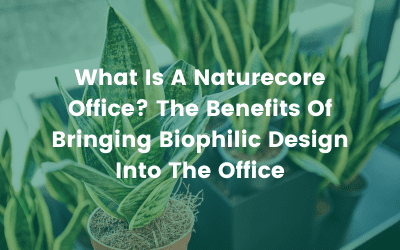 What Is A Naturecore Office? The Benefits Of Bringing Biophilic Design Into The Office